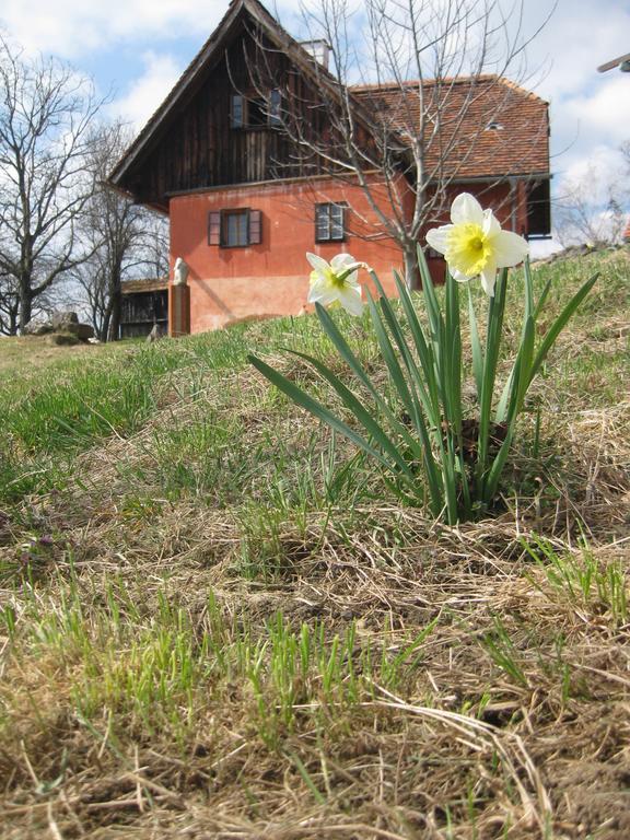Ferienwohnungen Sonnenberg Ratsch an der Weinstraße Exterior foto
