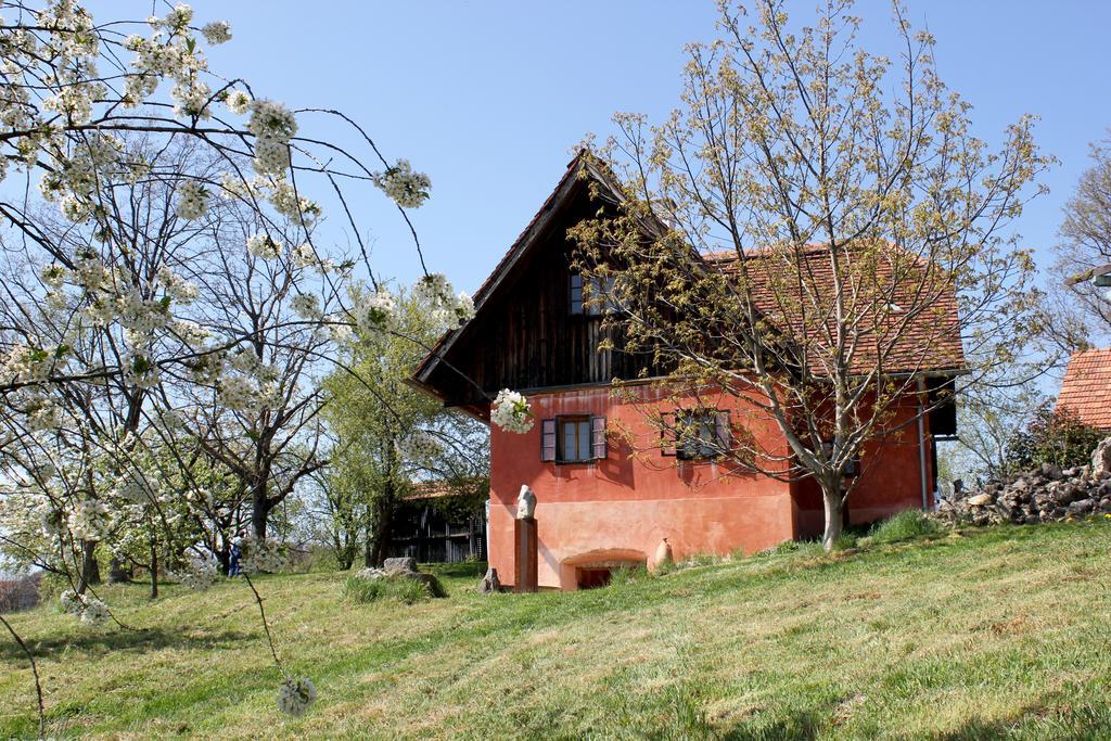 Ferienwohnungen Sonnenberg Ratsch an der Weinstraße Exterior foto
