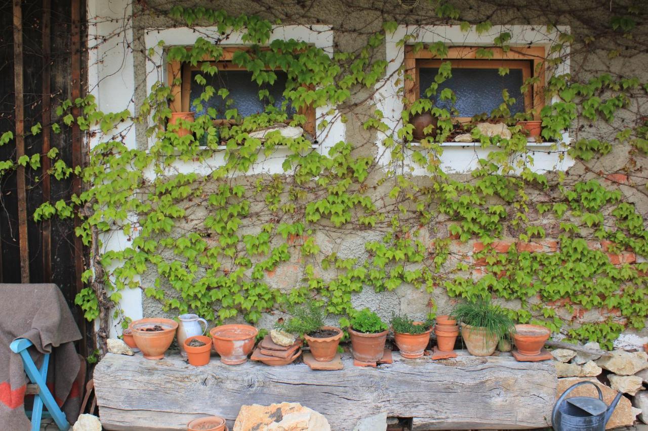 Ferienwohnungen Sonnenberg Ratsch an der Weinstraße Exterior foto